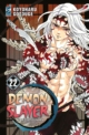 DEMON SLAYER - KIMETSU NO YAIBA 22